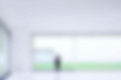 Гибкий кирпич